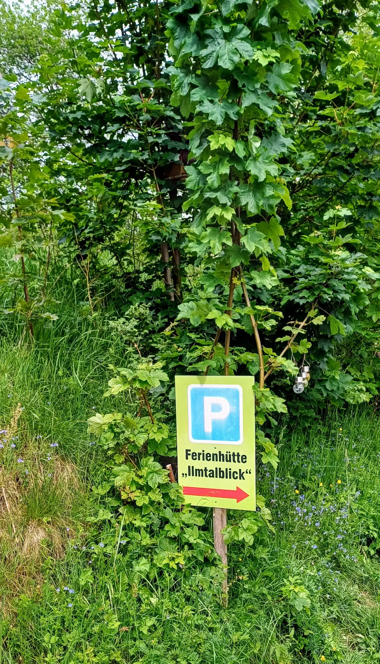 20250605 113506 1 11zon Scaled