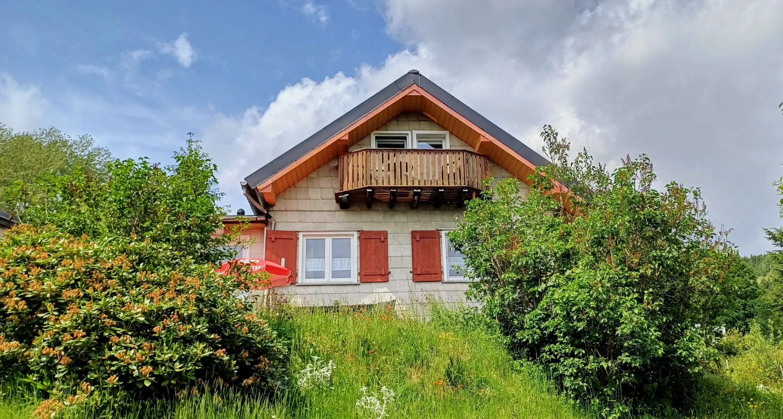 20250605 120248 8 11zon Scaled