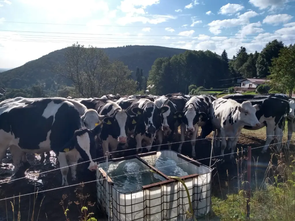 img 20190811 090940576 hdr 8 11zon